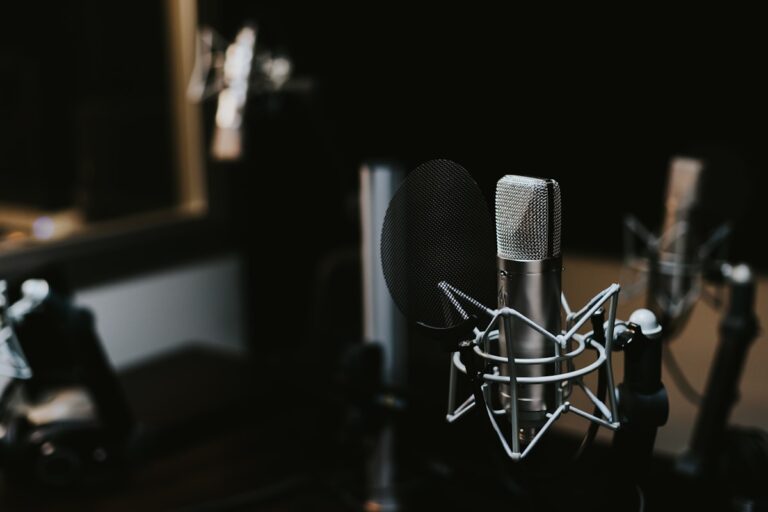 Define your brand voice - person speaking microphone communication